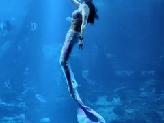 -太平洋海底世界