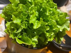 -九田家黑牛烤肉料理(香河店)