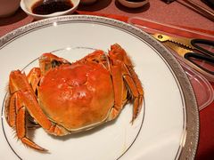 -添彩臻宴