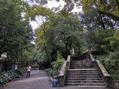 -昆明动物园