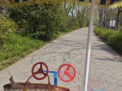 -洛阳市隋唐城遗址植物园