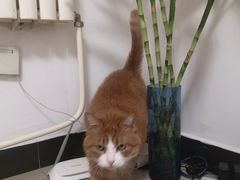 -萌兽医馆·犬猫专科·眼科中心·宠物医院(朝阳门分院)