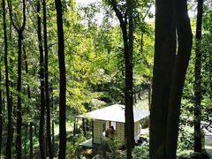 -中国茶叶博物馆(双峰馆区)