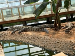 -石家庄市动物园