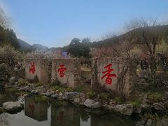 -香雪海