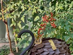 -西檬树SIMON·T轻奢蛋糕(大东方Max店)