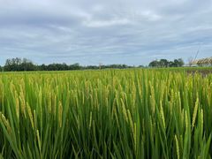 -中国天府农业博览园