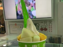 -Salud撒露欧洲冻酸奶(五道口购物中心店)