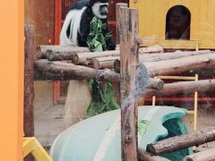 -无锡动物园·太湖欢乐园