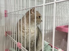 -暖阳宠物医院·犬猫康复中心·骨科