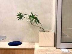 -小团圆糖水铺(襄阳南路店)