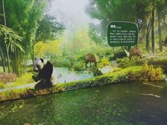 -陕西自然博物馆