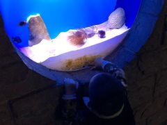 -左海海底世界