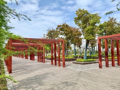 -春花秋色城市公园