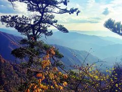 -王顺山国家森林公园