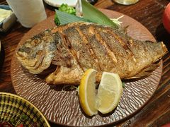 -鸟鹏烧鸟居酒屋(熙龙湾店)