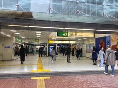-涩谷全向十字路口