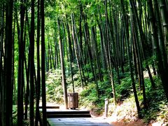 -径山寺