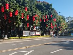 -厦门园林博览苑