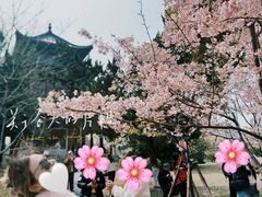 -武汉大学-樱园