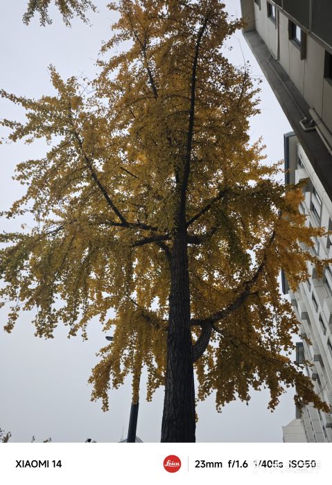 黄埭中学图片