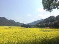 -新安江山水画廊风景区