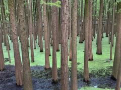 -青山湖景区