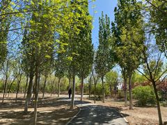 -永定河休闲森林公园