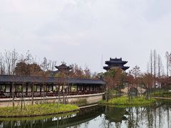 -江心屿景区