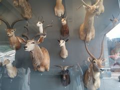 -陕西自然博物馆