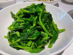 五粮液嫩豆苗-玫瑰厅上海菜(兴国路店)