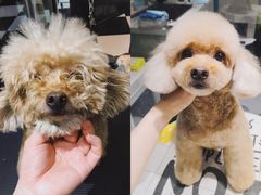 -Oh My Dog宠物沙龙(伊珊娜皮毛护理店)