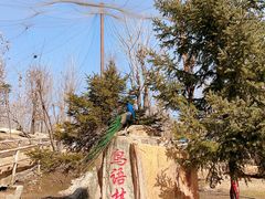 -哈尔滨北方森林动物园