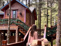 -洛阳白云山景区