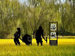 -北坞公园