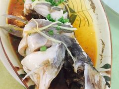 豉汁蒸叉尾鱼-铭杨农庄