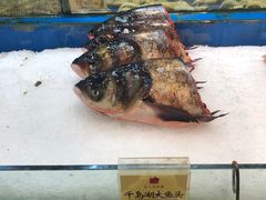 -鹏天阁酒楼·海鲜(红旗店)