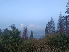 -长虫山生态公园风景林
