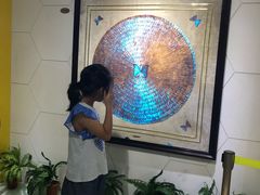 -上海昆虫博物馆