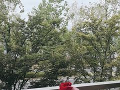 -宝荣鱼馆·临湖之宴(千岛湖店)