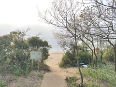 -普陀山风景名胜区-千步大沙