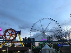 -锦江乐园舞狸花花游园会(夜场专享)