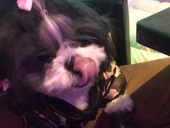 -皇家美孚(麦岛店)