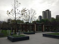 -木塔寺遗址生态公园