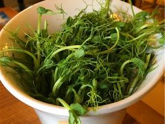 豆苗-傣妹火锅(四川北路店)