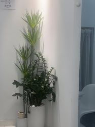 -HAO美皮肤管理·美甲美睫