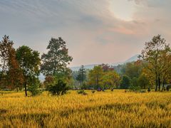 -塔川景区