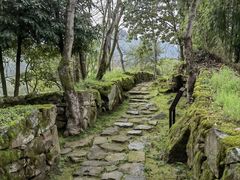 -唐崖土司城遗址