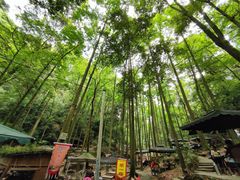 -凤栖山