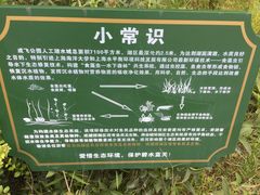 -成飞公园